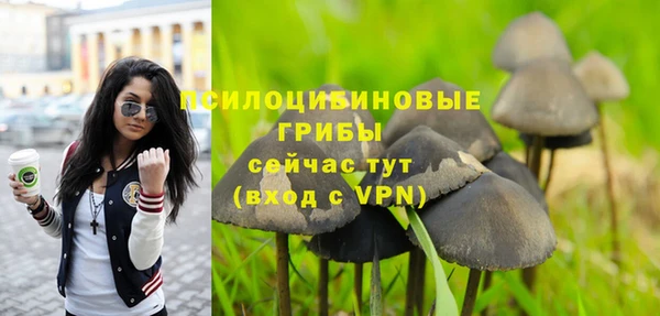 амф Алексин